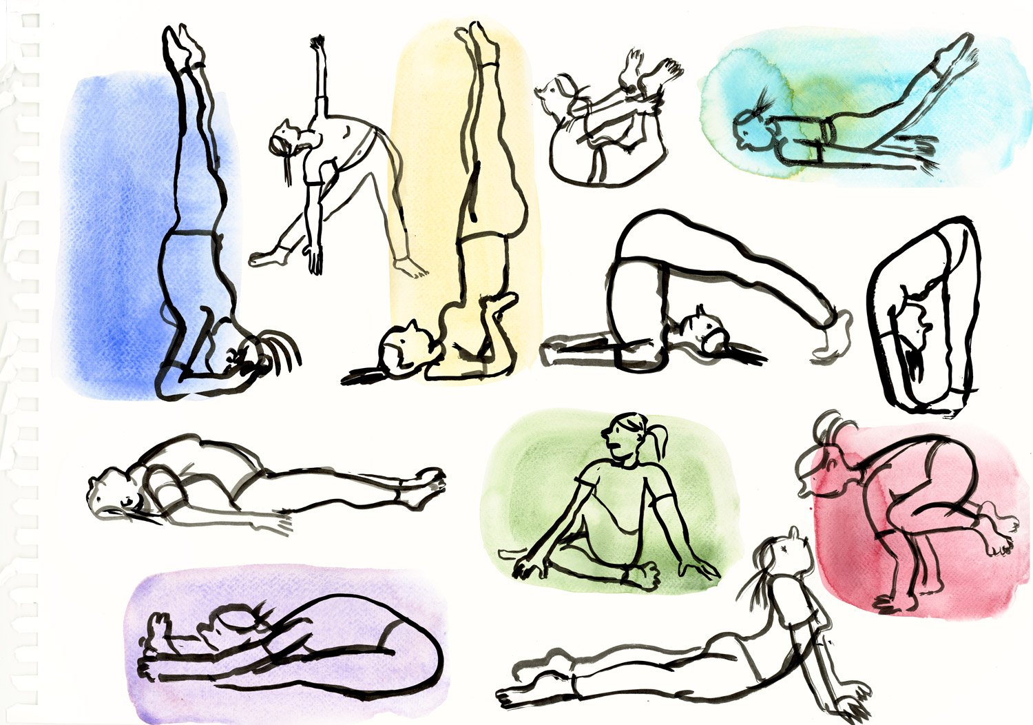 yogaasanas